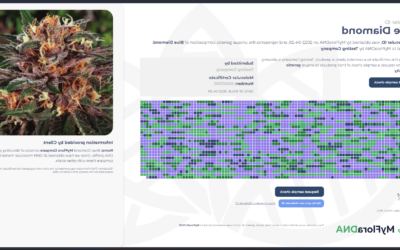 生物技术公司MyFloraDNA推出DNA分析来识别和验证大麻品种